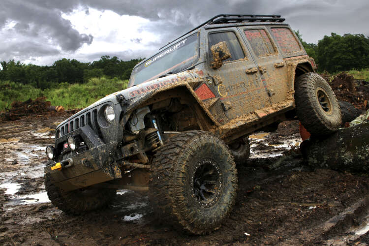 2.5 in Jeep Lift Kit | Wrangler JL 2-door | with Shock Extensions, Shadow, Fox 2.0, Fox 2.0 Reservoir, or King 2.0 Shocks Gallery 5